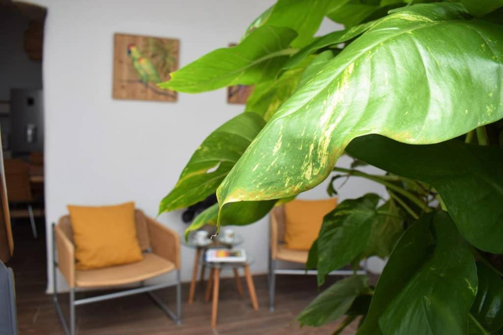 La Casa Vieja Villa Arafo Luaran gambar